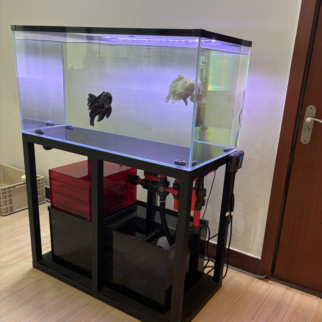 无管件鱼缸龙鱼缸溪流原生生态鱼缸中型海水鱼池带溢流设计