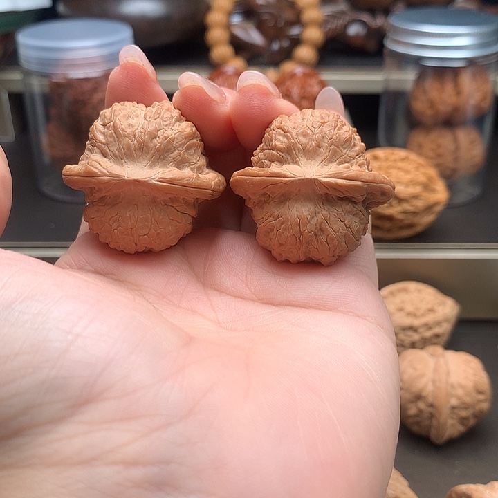 木质类平谷原树血麒麟