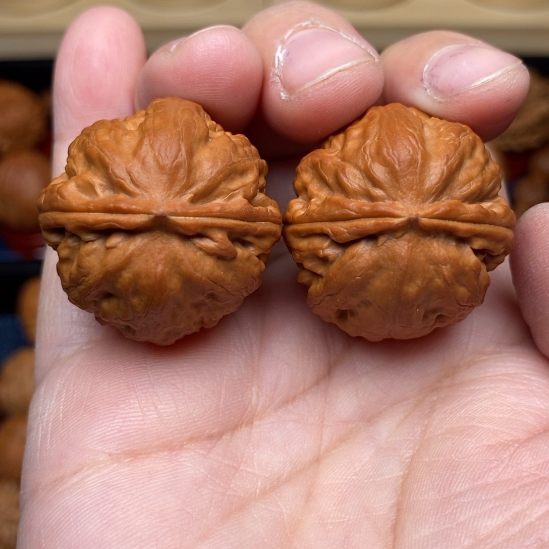 文玩核桃把件手捻卧龙石