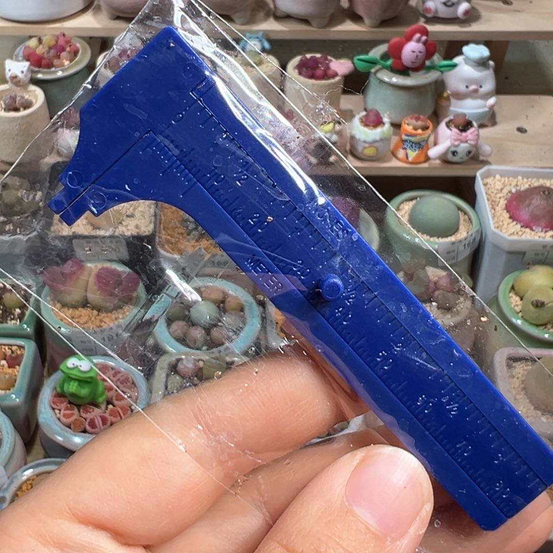 多肉植物一把卡尺