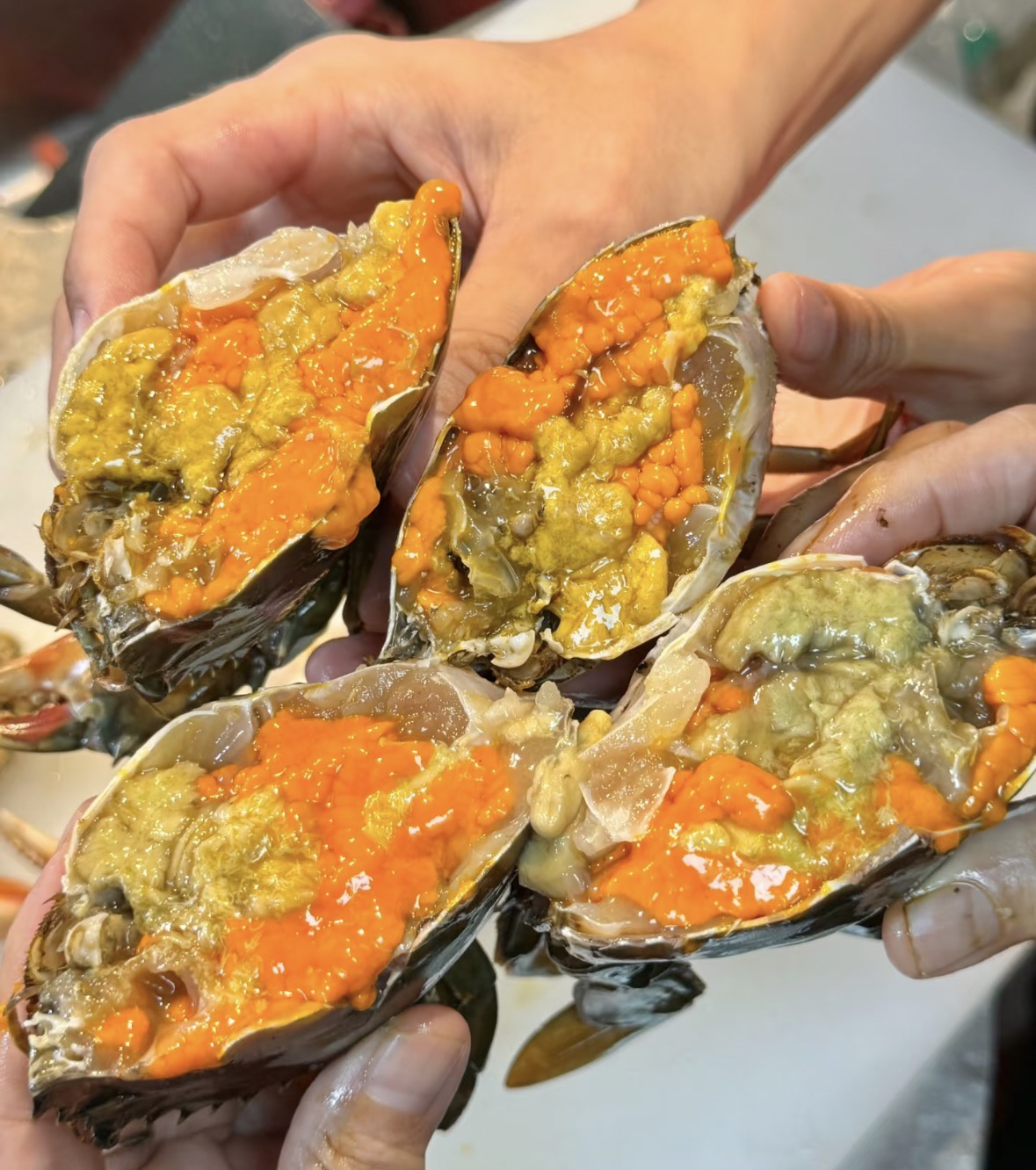 【买4只大膏再送1只大膏】鲜活红膏蟹单只/3.5-4两包活勿放冰箱