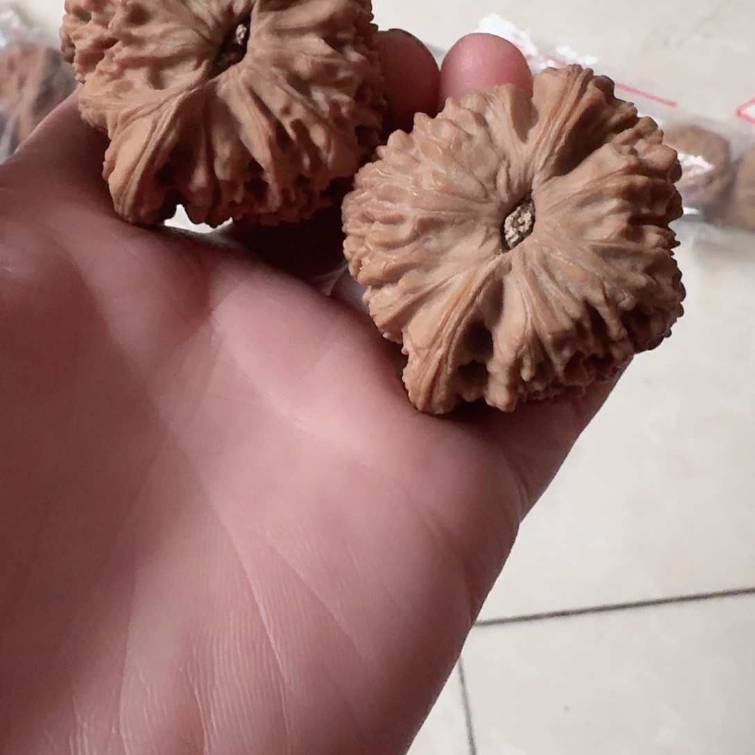 全品南疆石狮子头45