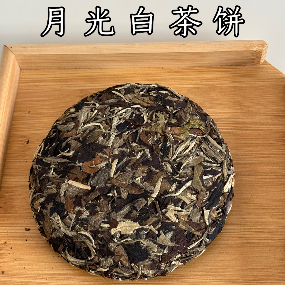 雪山村云南白茶古树月光白单珠茶饼200g（2025）