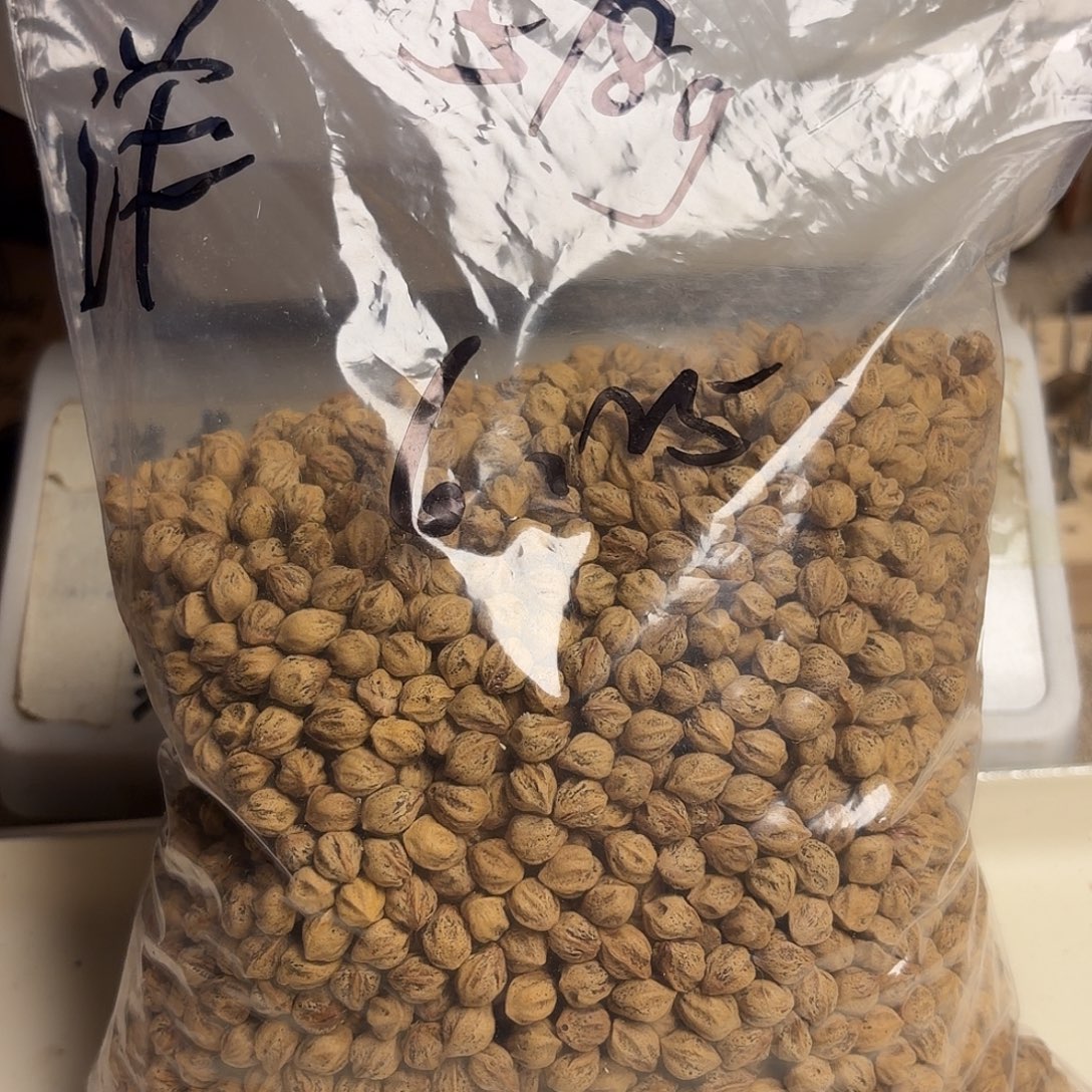 洋***洋柏香籽/百香籽吊坠