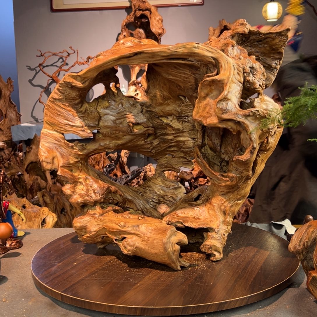 再***-香杉木677aaaaaaaaaa