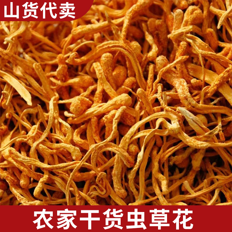 2两 虫草花 农家干货
