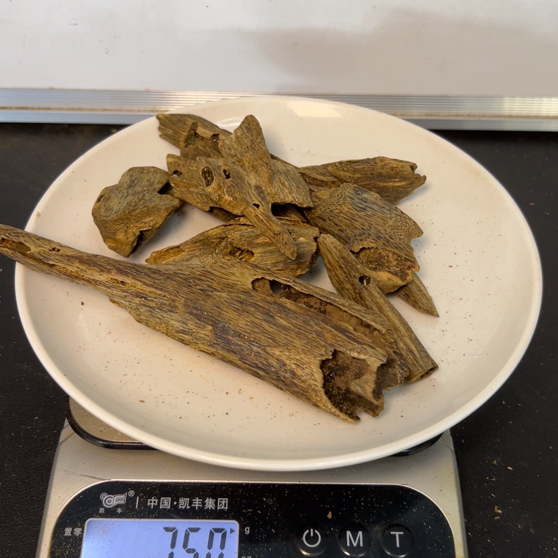 沉香碎屑沉香油叶子虫眼