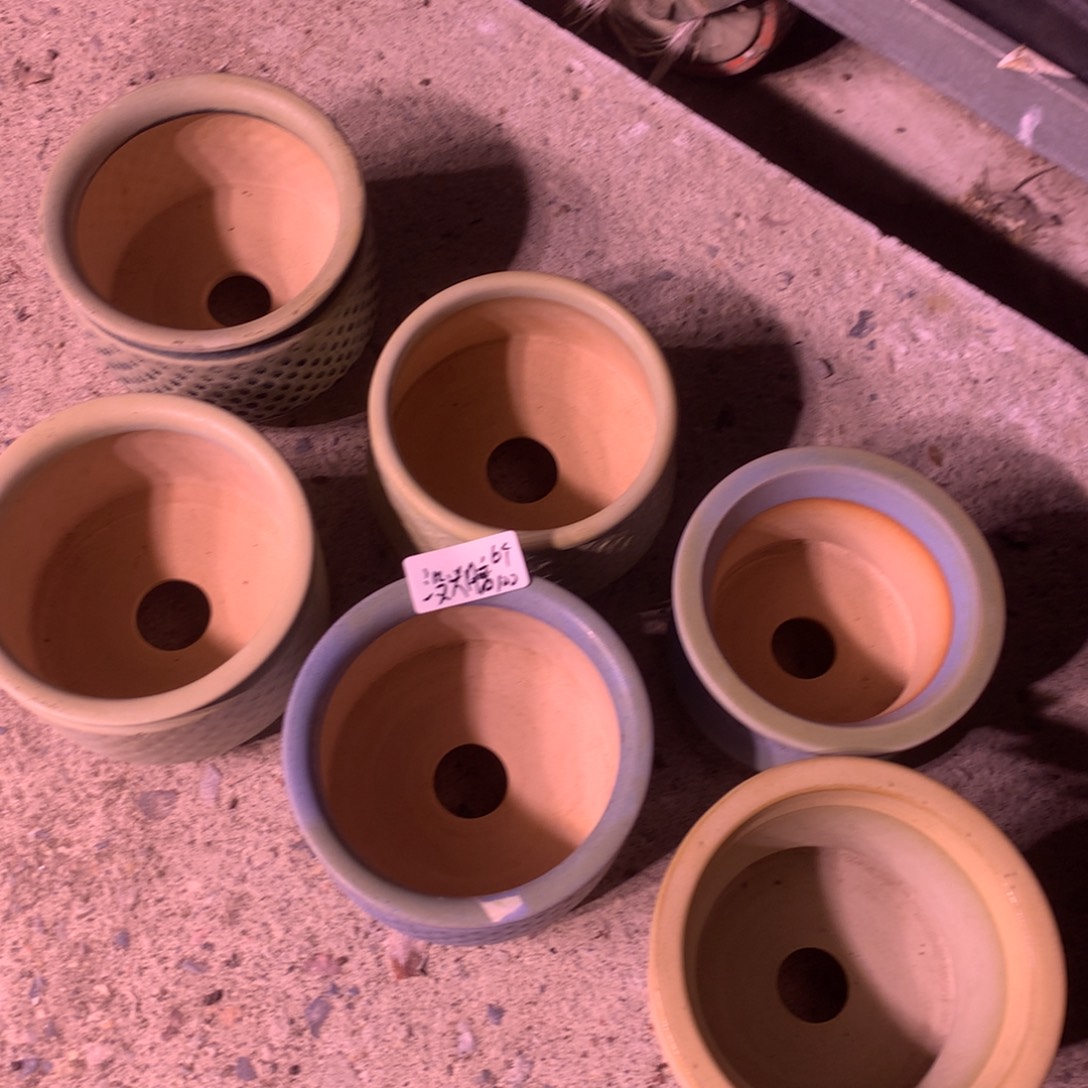 没头脑东云烧6个100元