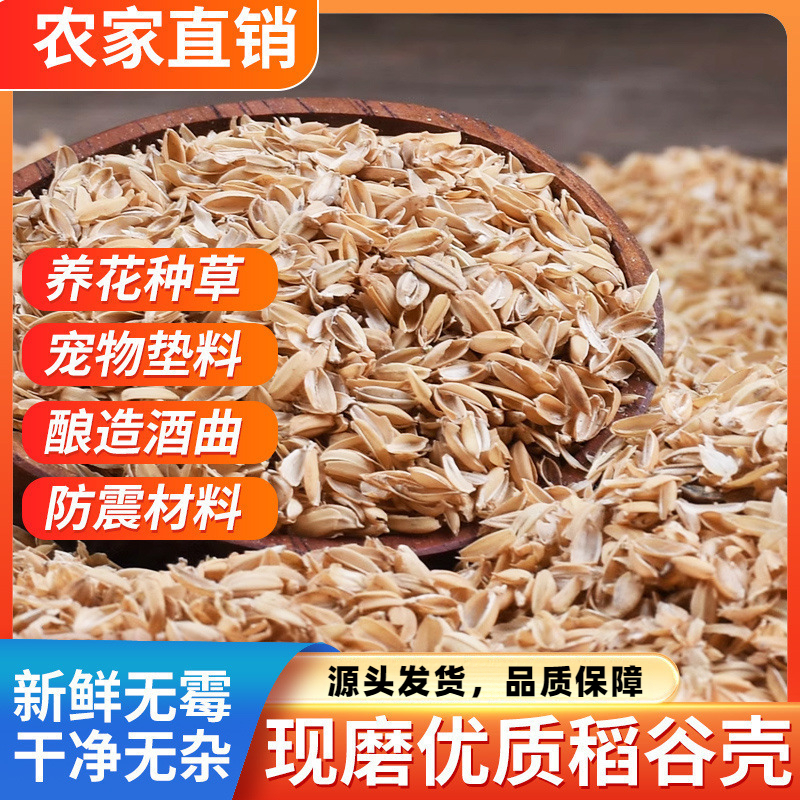 新鲜干稻壳北方优质水稻谷壳疏松土壤粗糠喂鸡宠物枕头芯填充酿酒