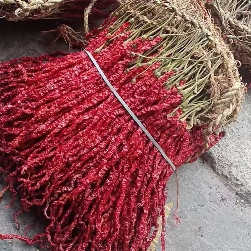 大方皱椒鸡爪皱皮辣椒辣可留种可食用可做装饰辣椒红辣椒编织串串