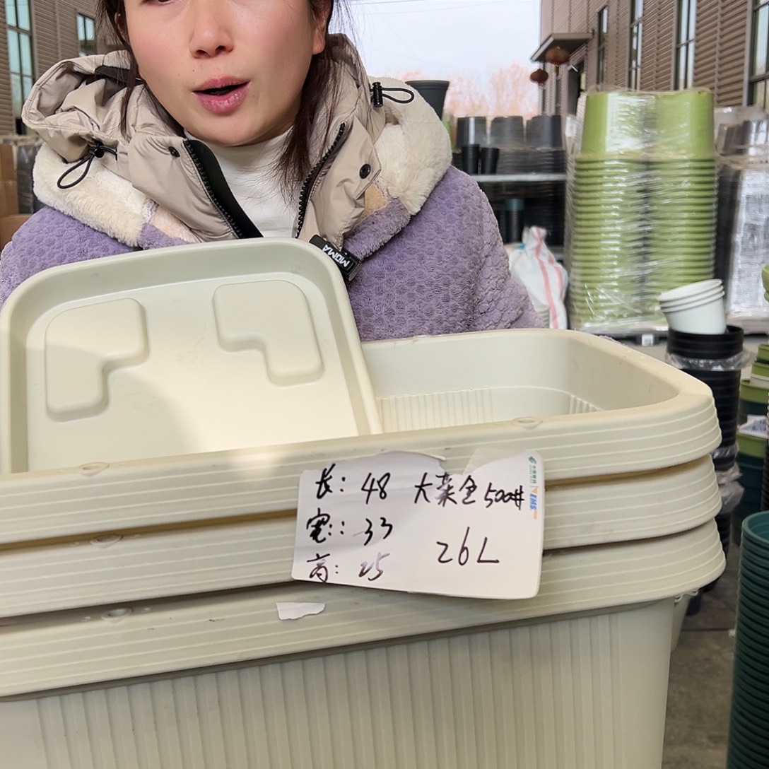 菜盆500#米白3个（含托）