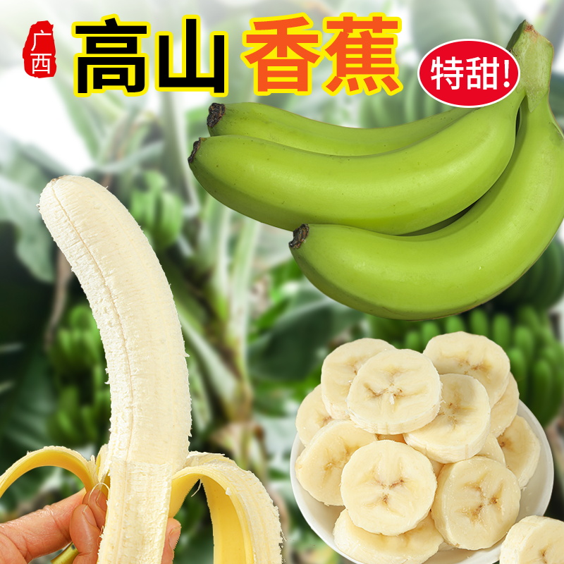 广西高山甜香蕉青蕉发货当季新鲜水果5/9斤产地粉芭蕉软糯香甜