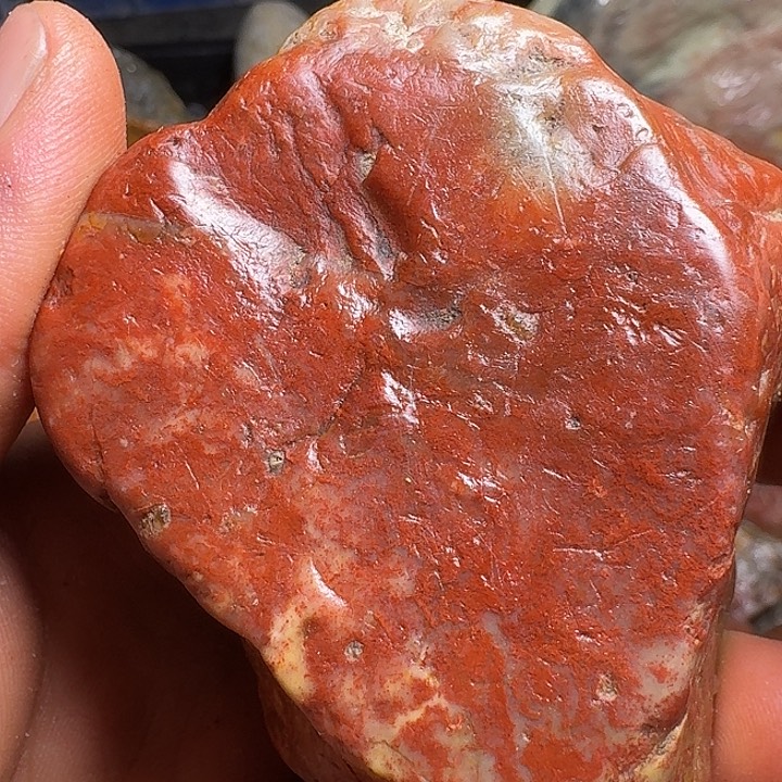 履***刻寿山石寿山石的种类