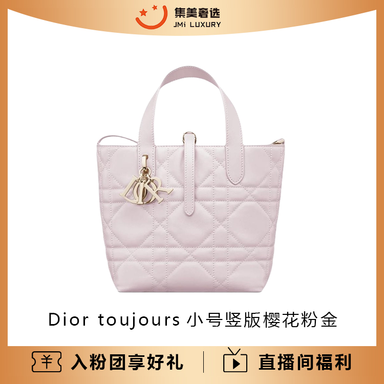 99新 DIOR/迪奥 toujours小号竖版樱花粉金手提包/AM5314