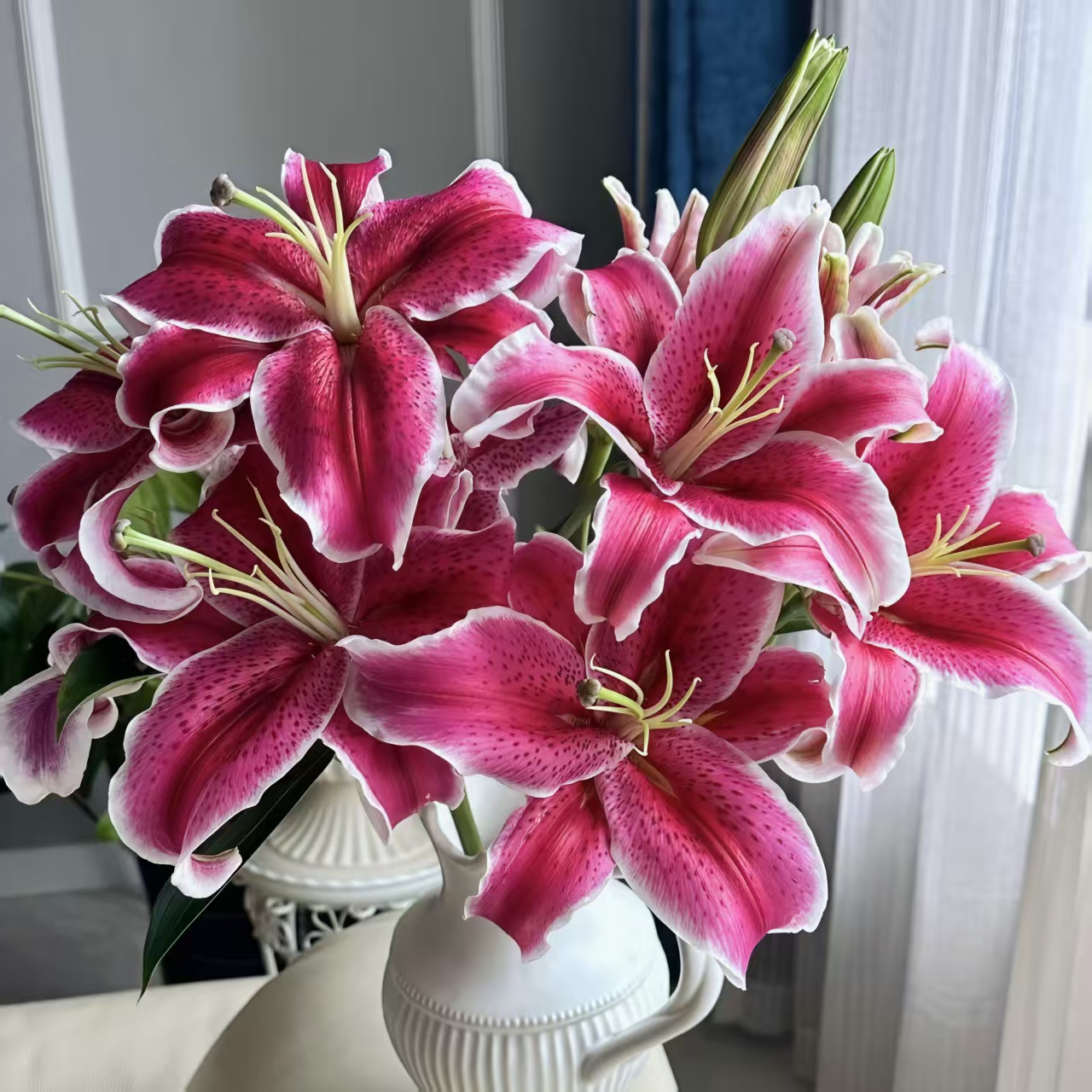 黑美人百合单瓣浓香家庭鲜花(5度以下拍保温棉，不拍冻坏不售后）