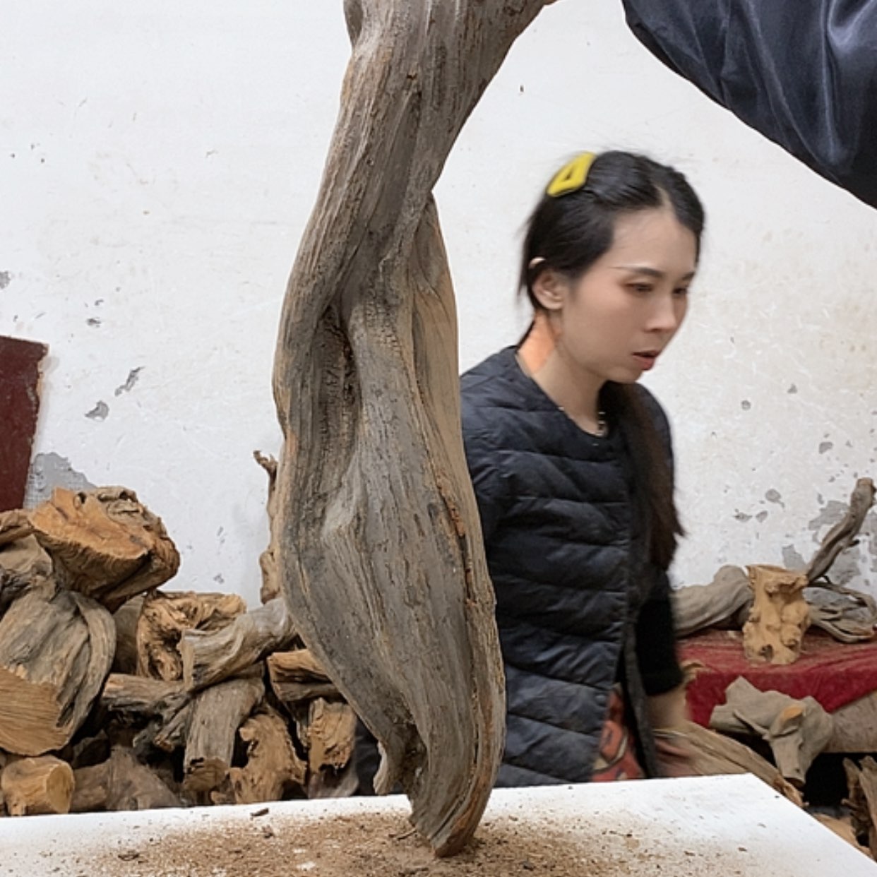 【闪购商品】柏木不**心我们都是好孩子