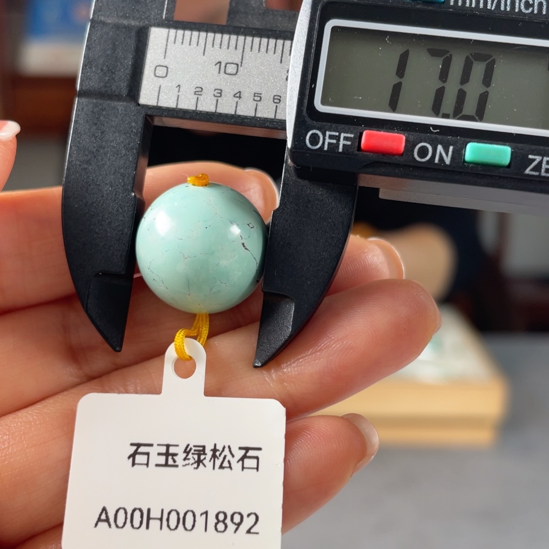 绿松石未镶嵌颈饰