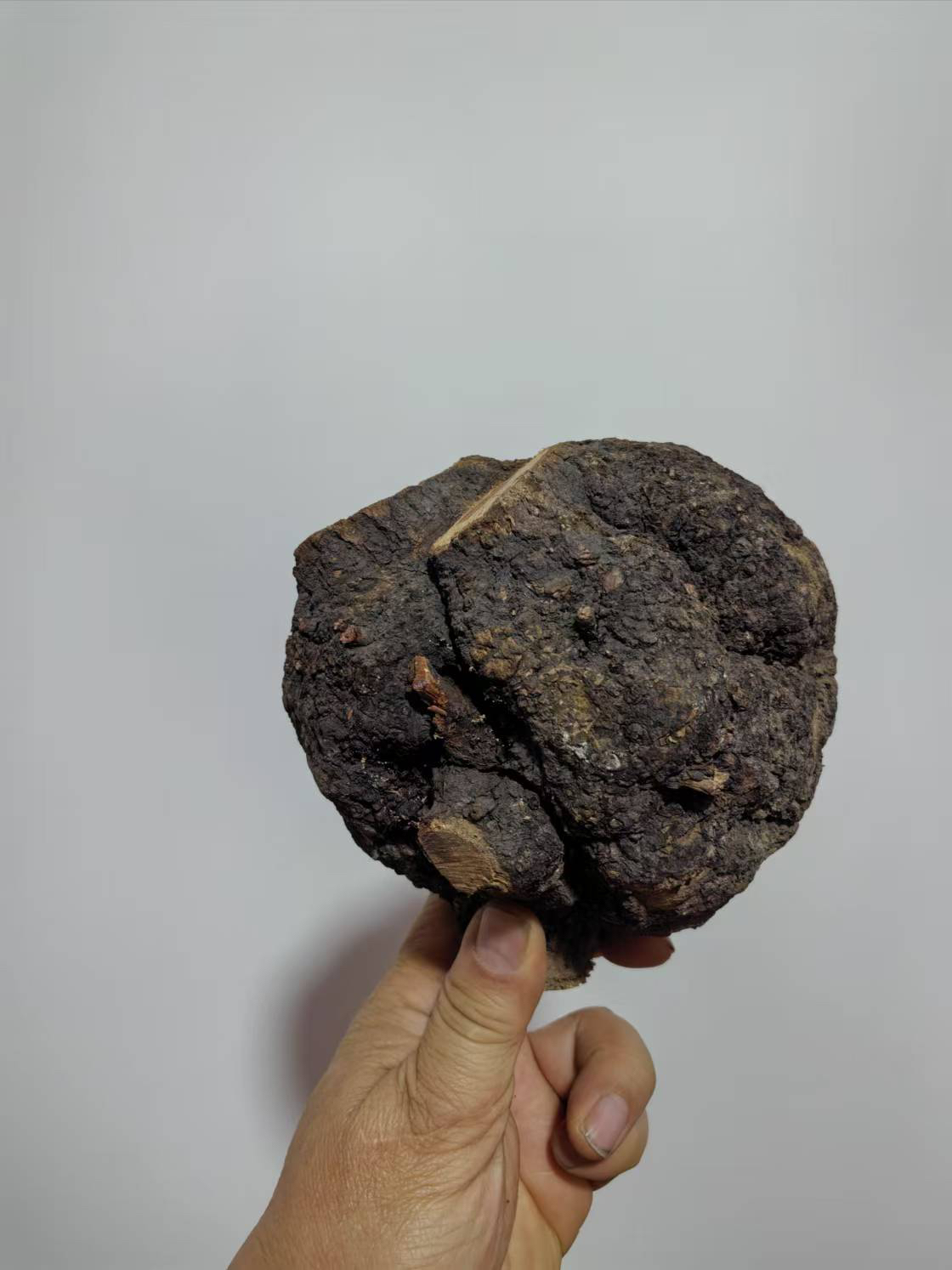 正宗太行山麻梨疙瘩