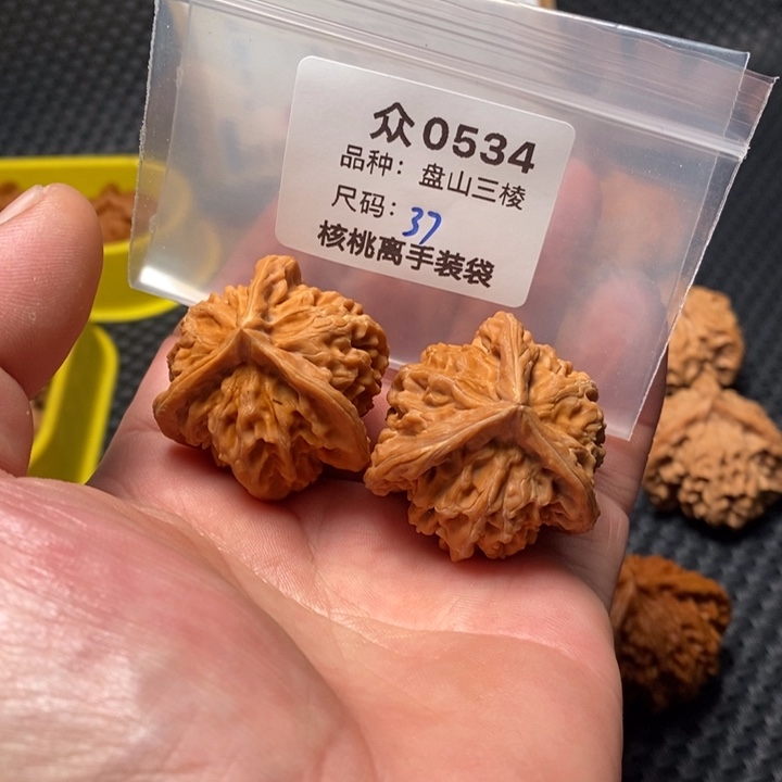 星***号桃核吊坠众0534盘山37