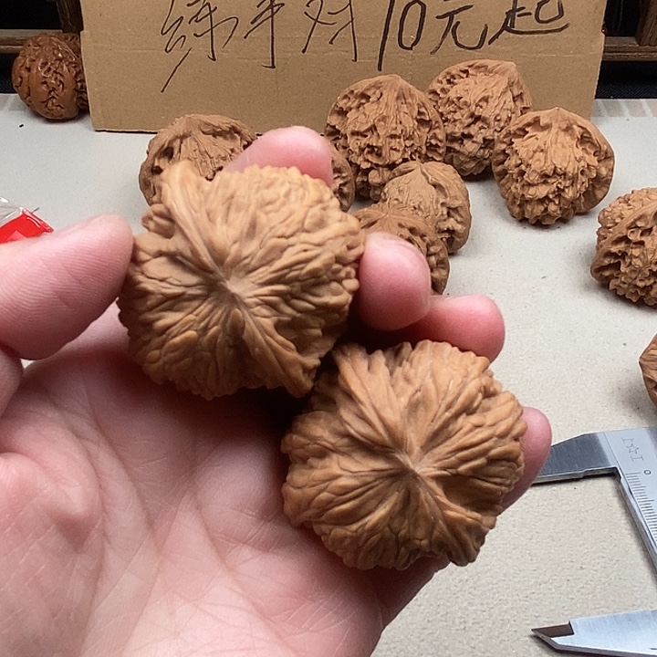 S***r吊坠龙脊菩提56.56.56.56.53