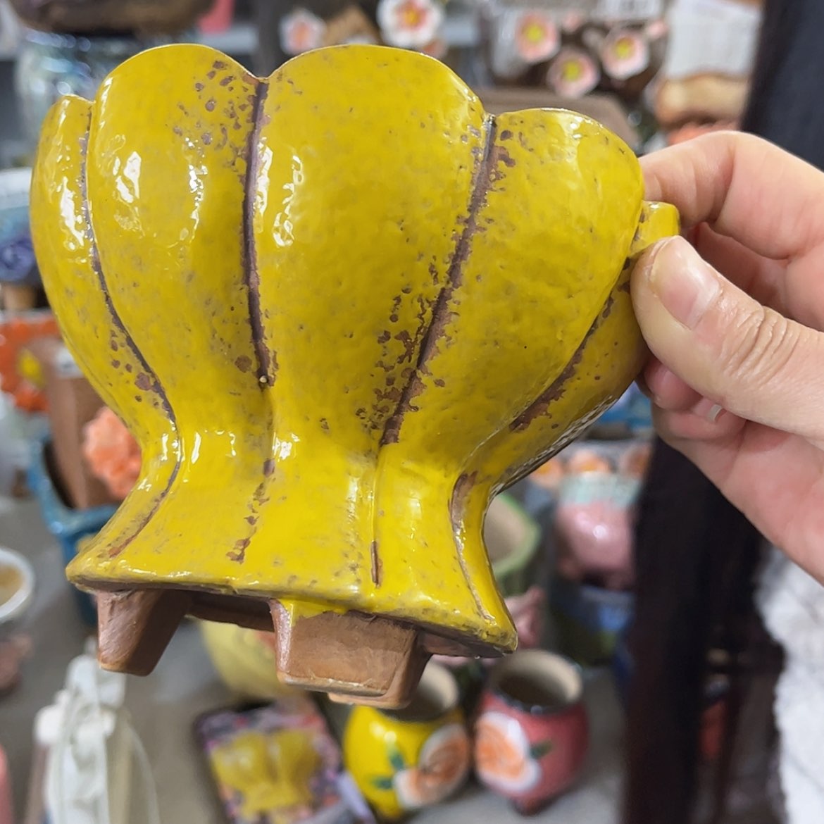 【闪购商品】红陶福利