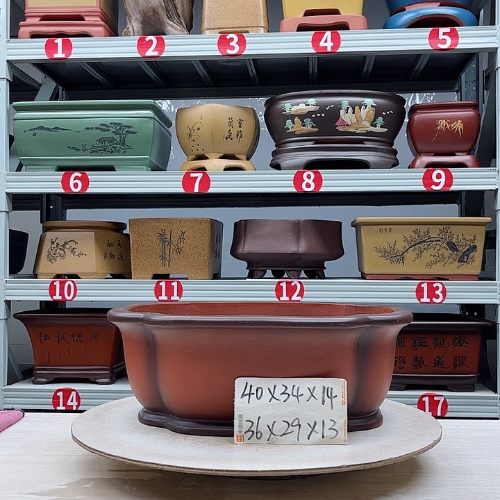 紫砂花盆紫砂花盆