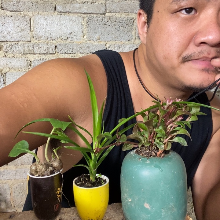 退款拉黑一物一拍99