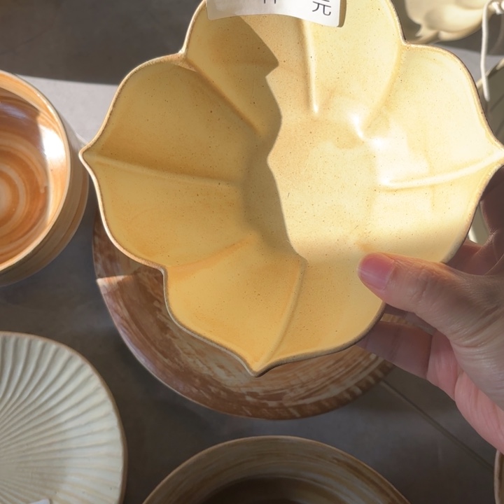 瓷504粗陶花朵碗1个装