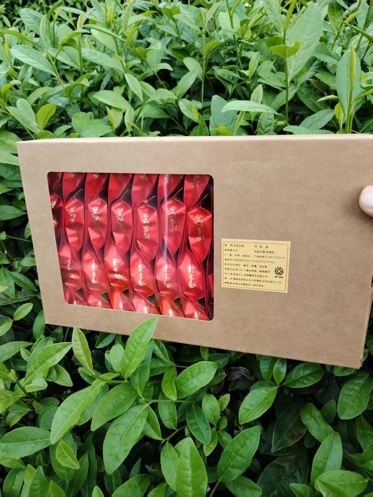 武夷红茶50泡装250克