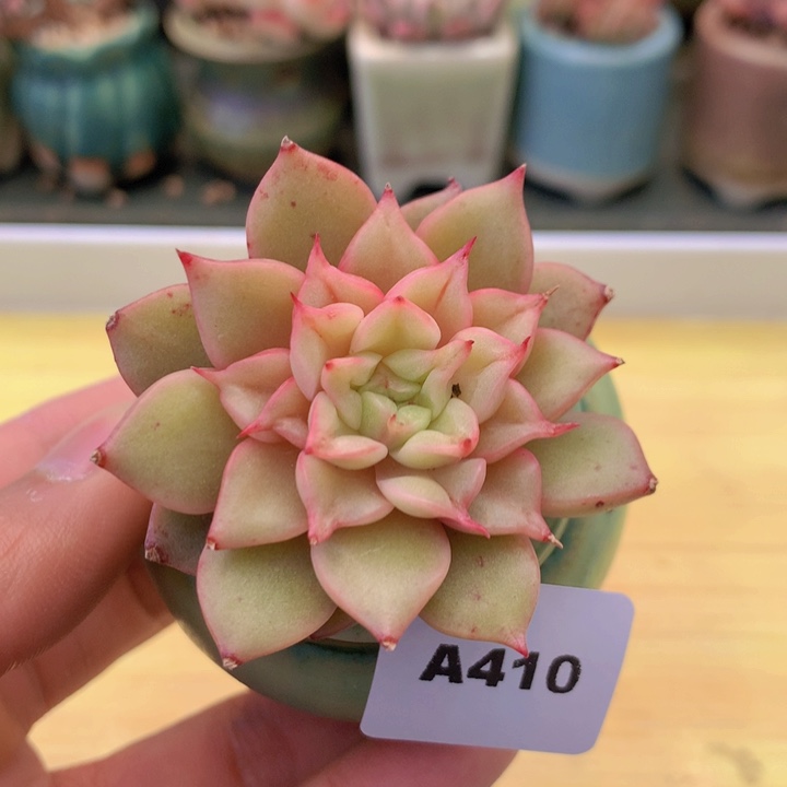 一物一拍满38包邮A410