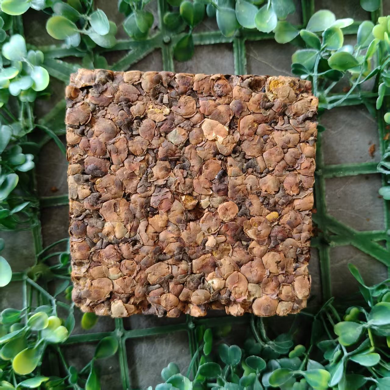 雨腾妹夫“X丹”第Y全J DYQ溶 第Y全T200g/砖（7月4）