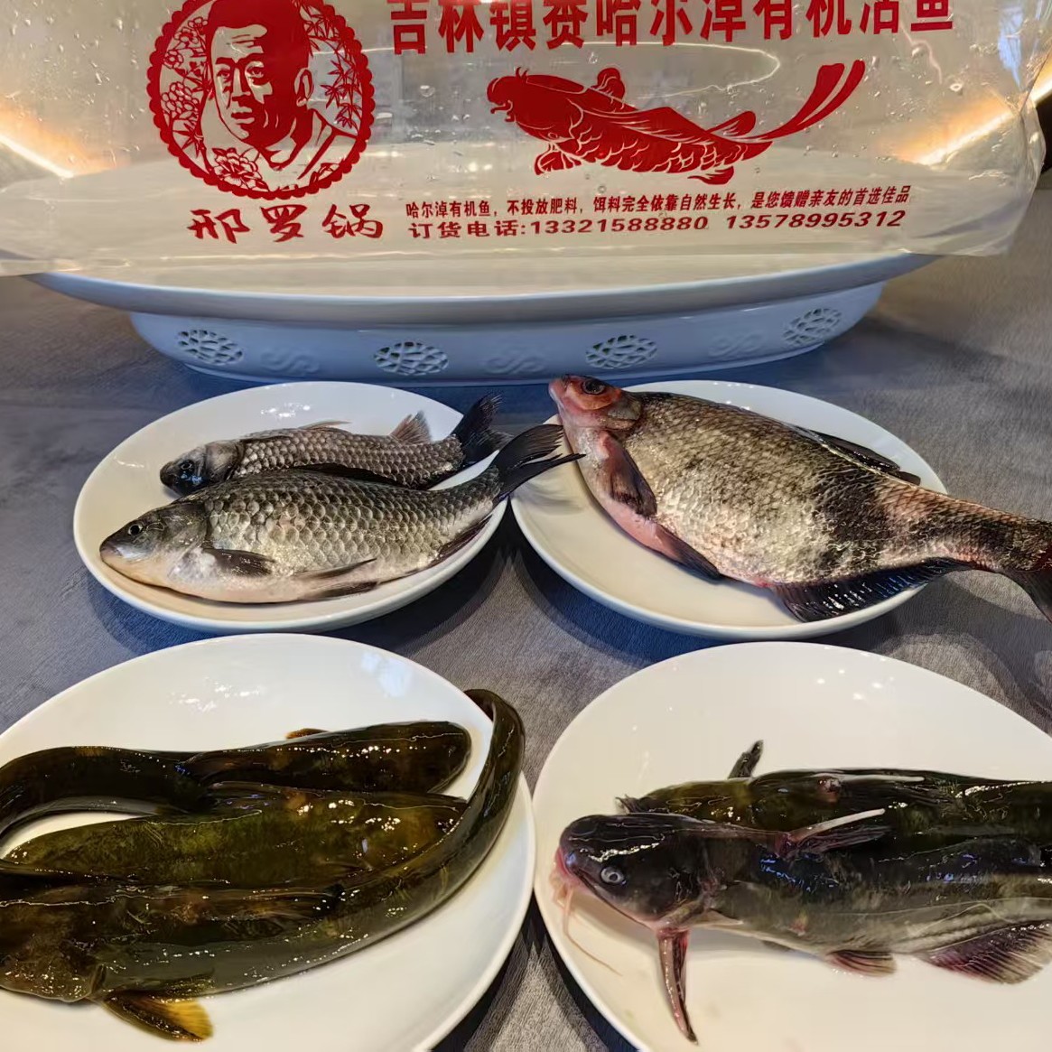 吉林镇赉哈尔淖有机江鱼