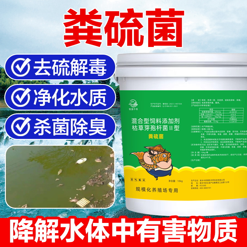 粪硫菌水产养殖改善底泥分解淤泥净化水质除水体恶臭除黑去硫化氢