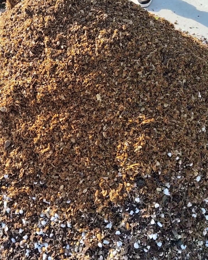 阳台正宗透气兰花植料树皮养根沥水好管理小叶簕竹夜来香腐叶土