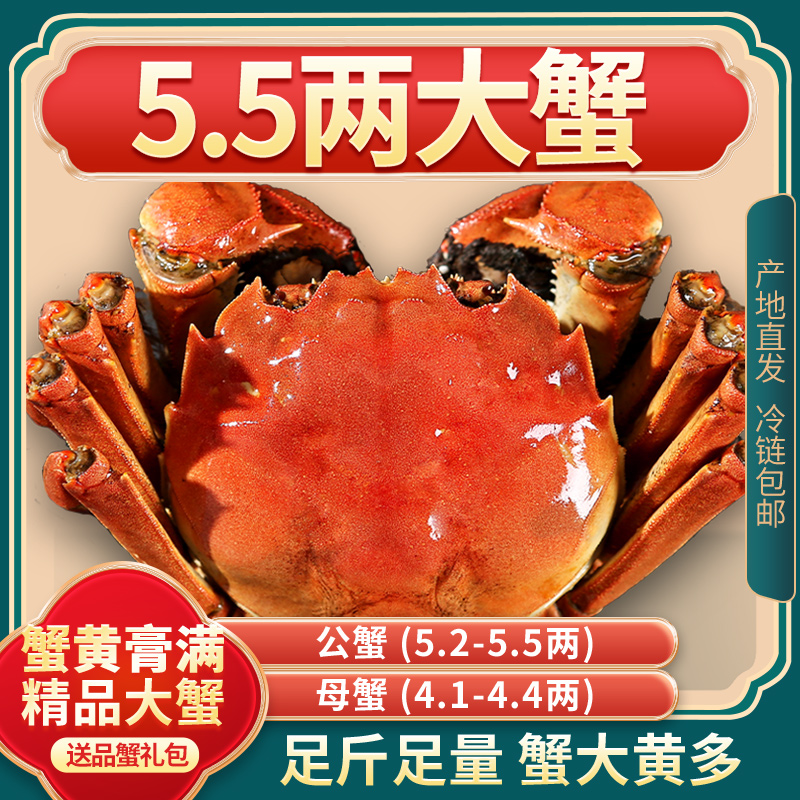 【活蟹】煌鲜尚品大闸蟹公5.2-5.5两母4.1-4.4两4/6/8/10只礼盒鲜活