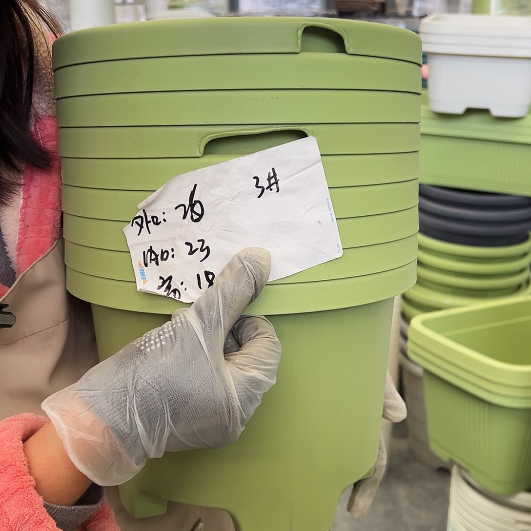 瑕疵球根盆3#果绿色5个无托