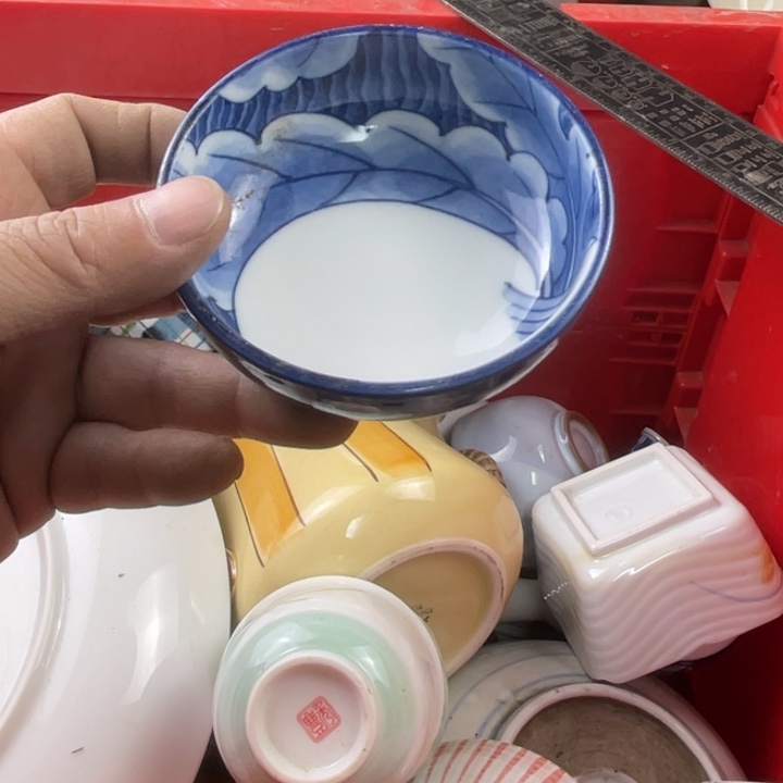 碟开播了开播了开播了