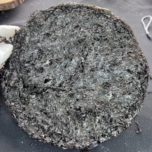 头水紫菜【虾干福利】