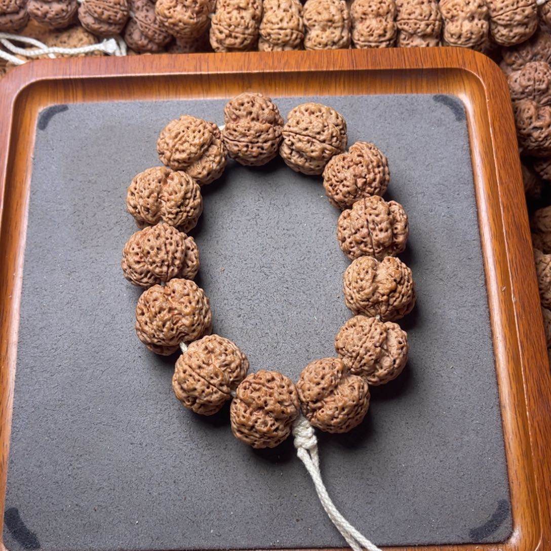 菩提籽类14号金刚菩提四瓣23.5/24