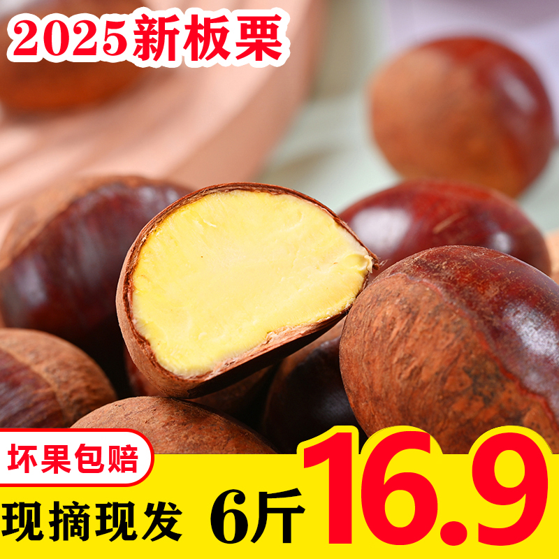 【坏果包赔】现摘现发2025年板栗新鲜东北栗子正宗香甜软糯粉面甜