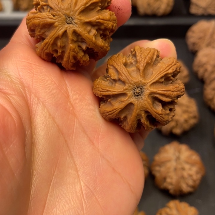 文玩核桃吊坠我想去吃个早餐