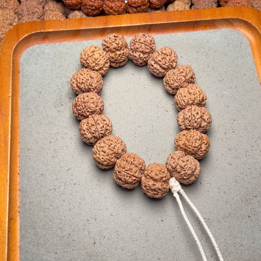 菩提15号金刚菩提双龙22+