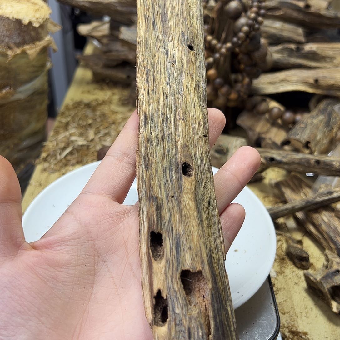 木绿奇楠虫漏44克