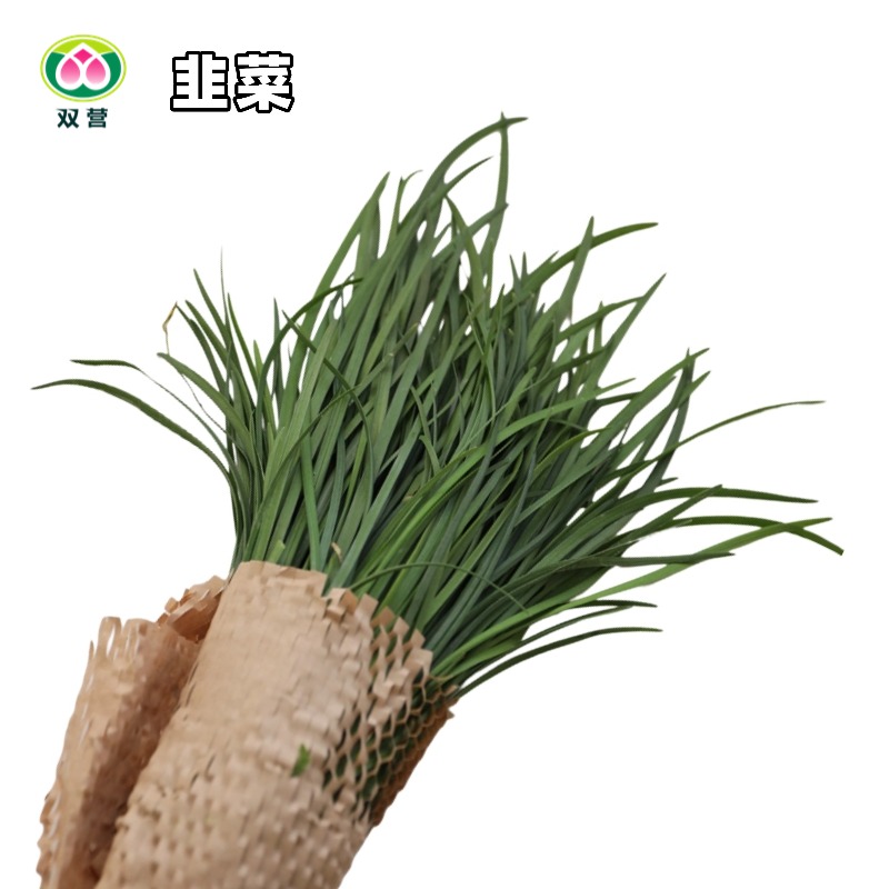 北京有机农场馅料自选菜韭菜