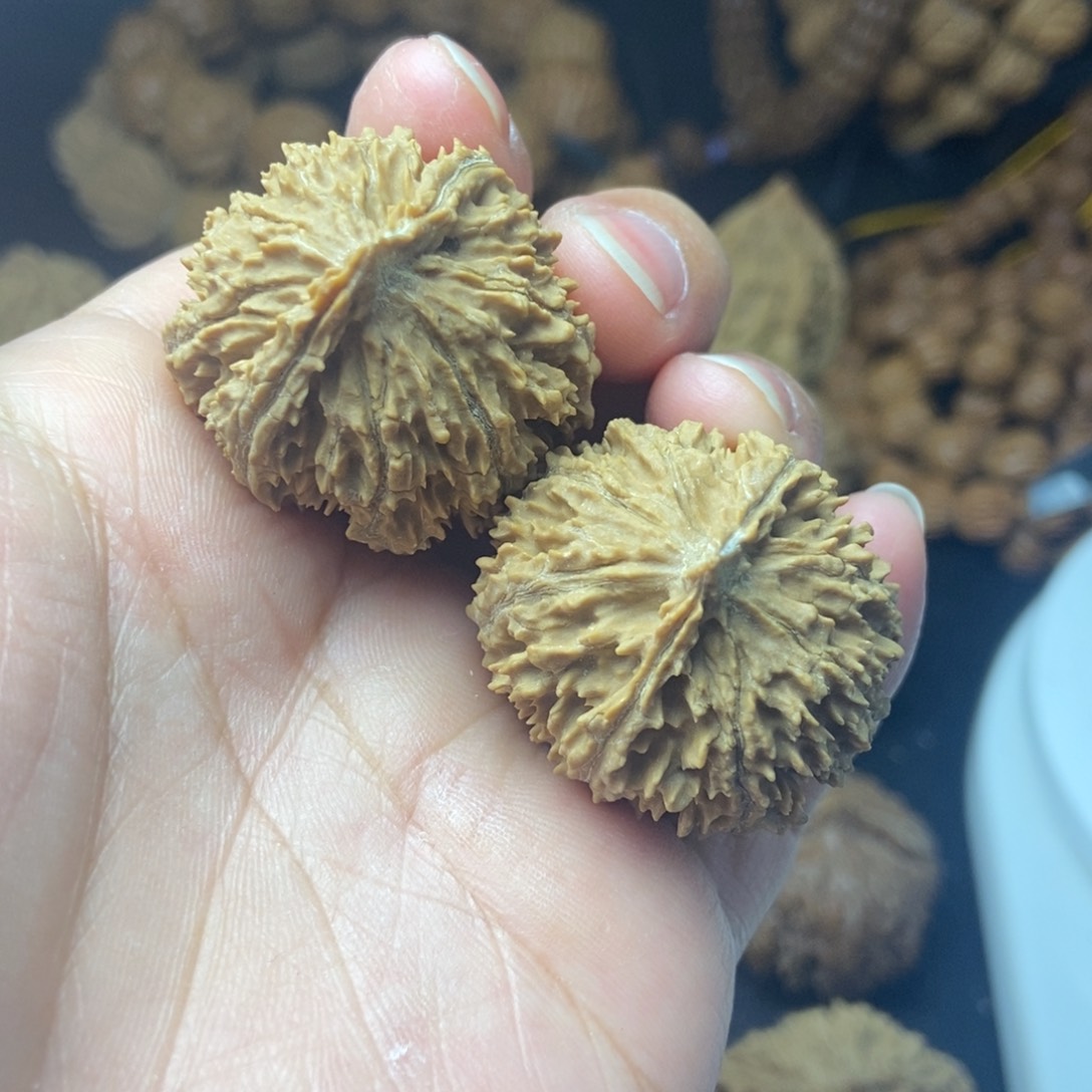 桃核把件秦岭核桃小手捻30