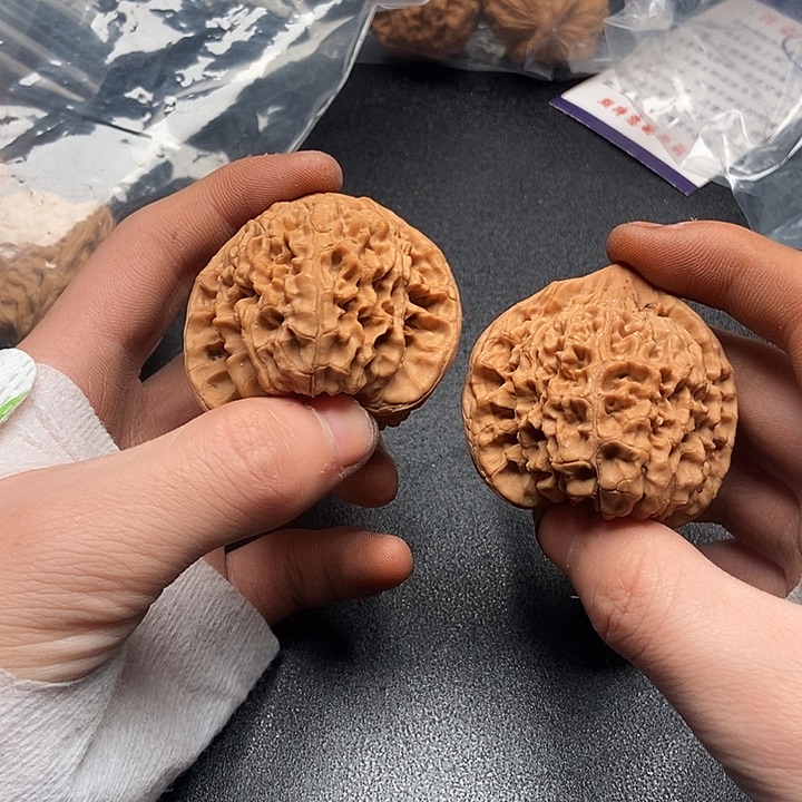 似***無5555555555555555555555555555555