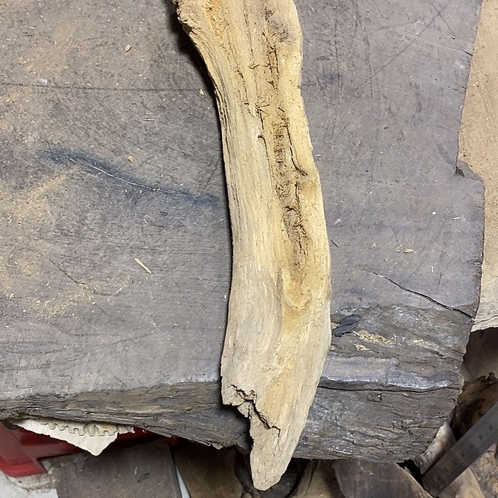 乌木类金丝楠小叶