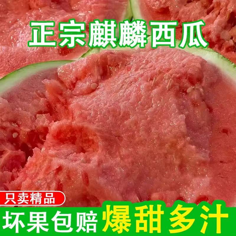【新鲜现摘】正宗麒麟西瓜有籽无籽混发脆甜多汁产地直发麒麟西瓜云南省
