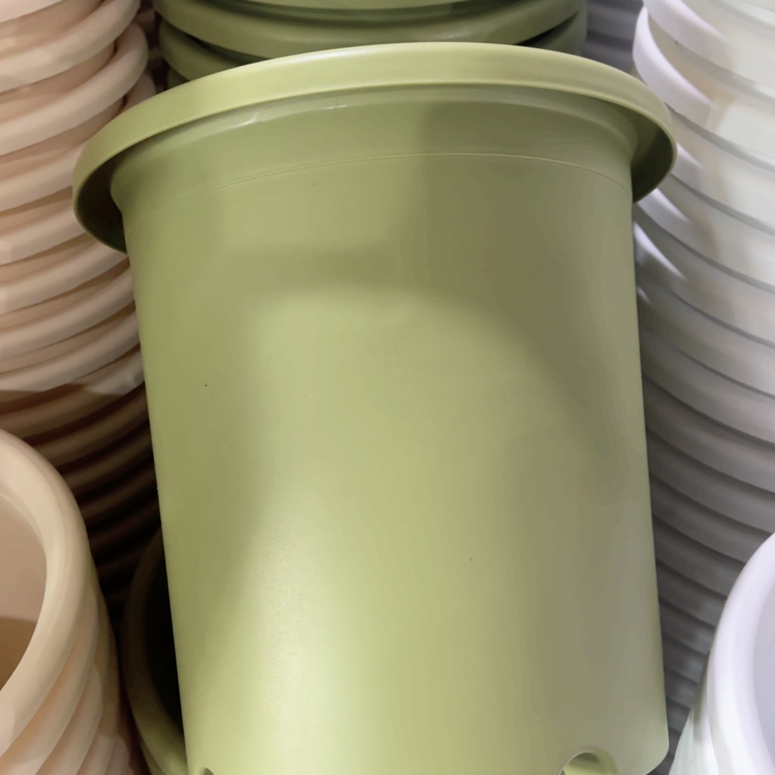 树脂特价7#无拖果绿6个