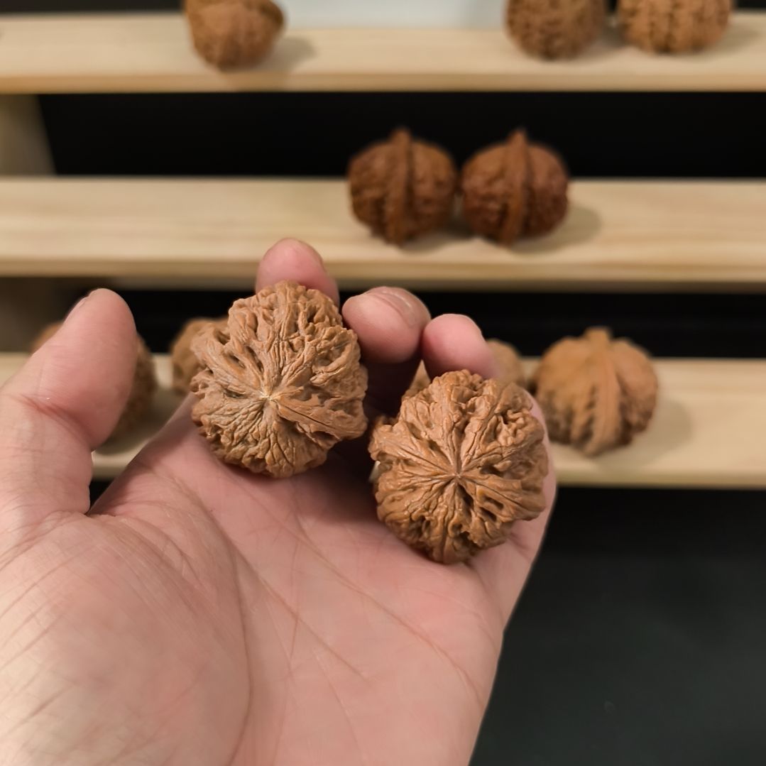 文玩核桃吊坠40粗筋